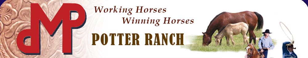 Potter Ranch